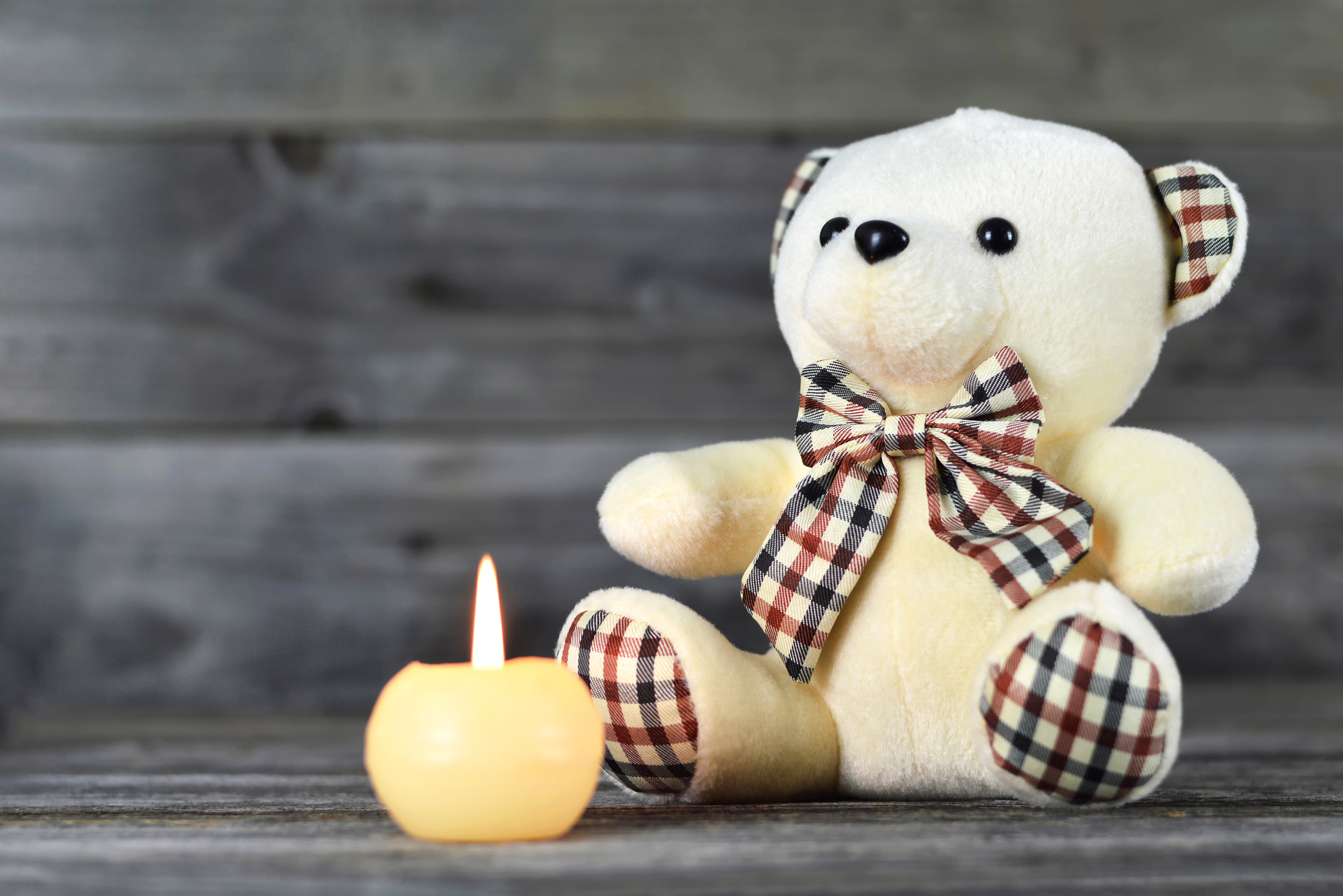 teddy_bear